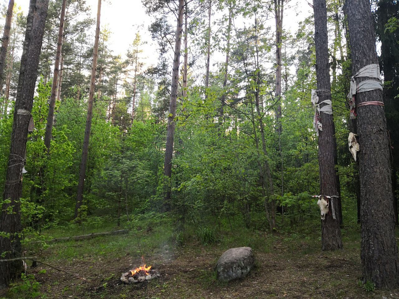 Камень-Волас_каля_Крыжоўкі.jpg Камень-Волас_каля_Крыжоўкі.jpg