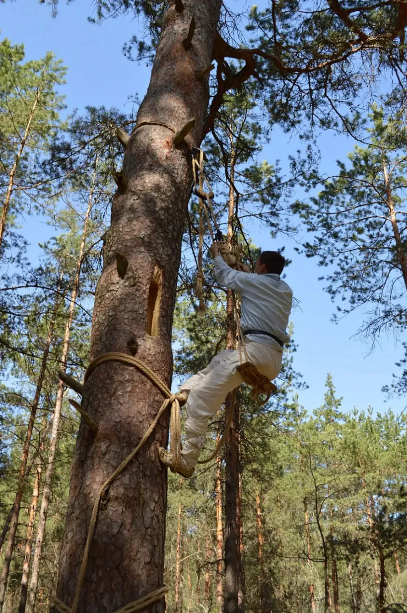 Bortnik vydzioŭbvaje borć
