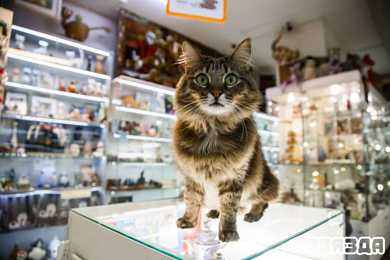 img_7572.jpeg img_7572.jpeg