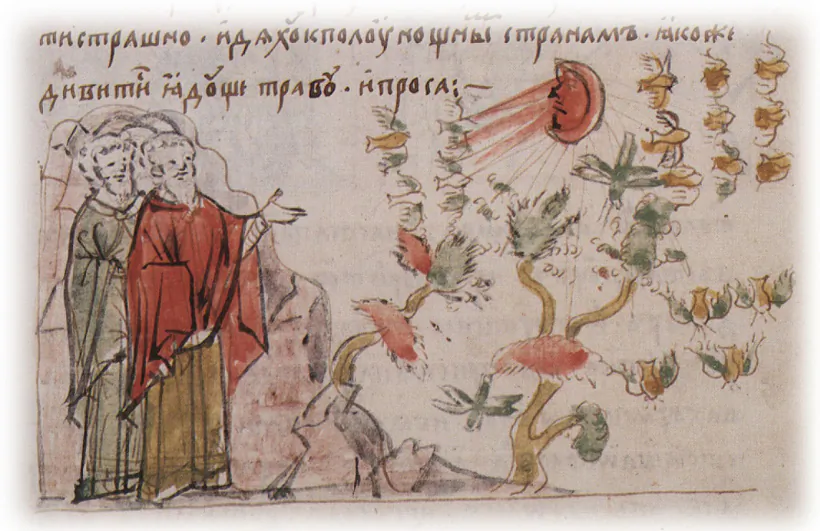 mal_3_sarancza_1096 M295.jpg