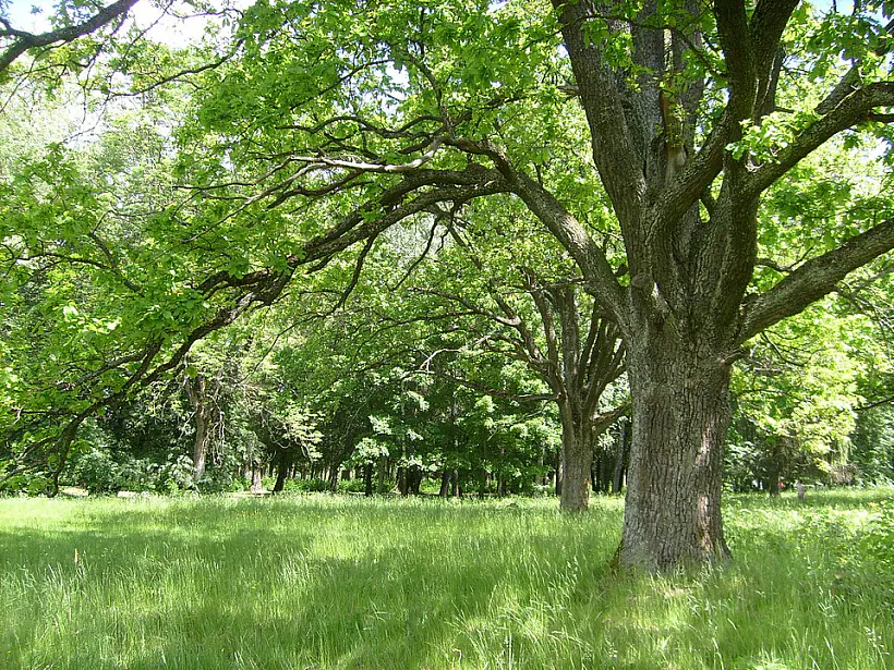 11-park.jpg
