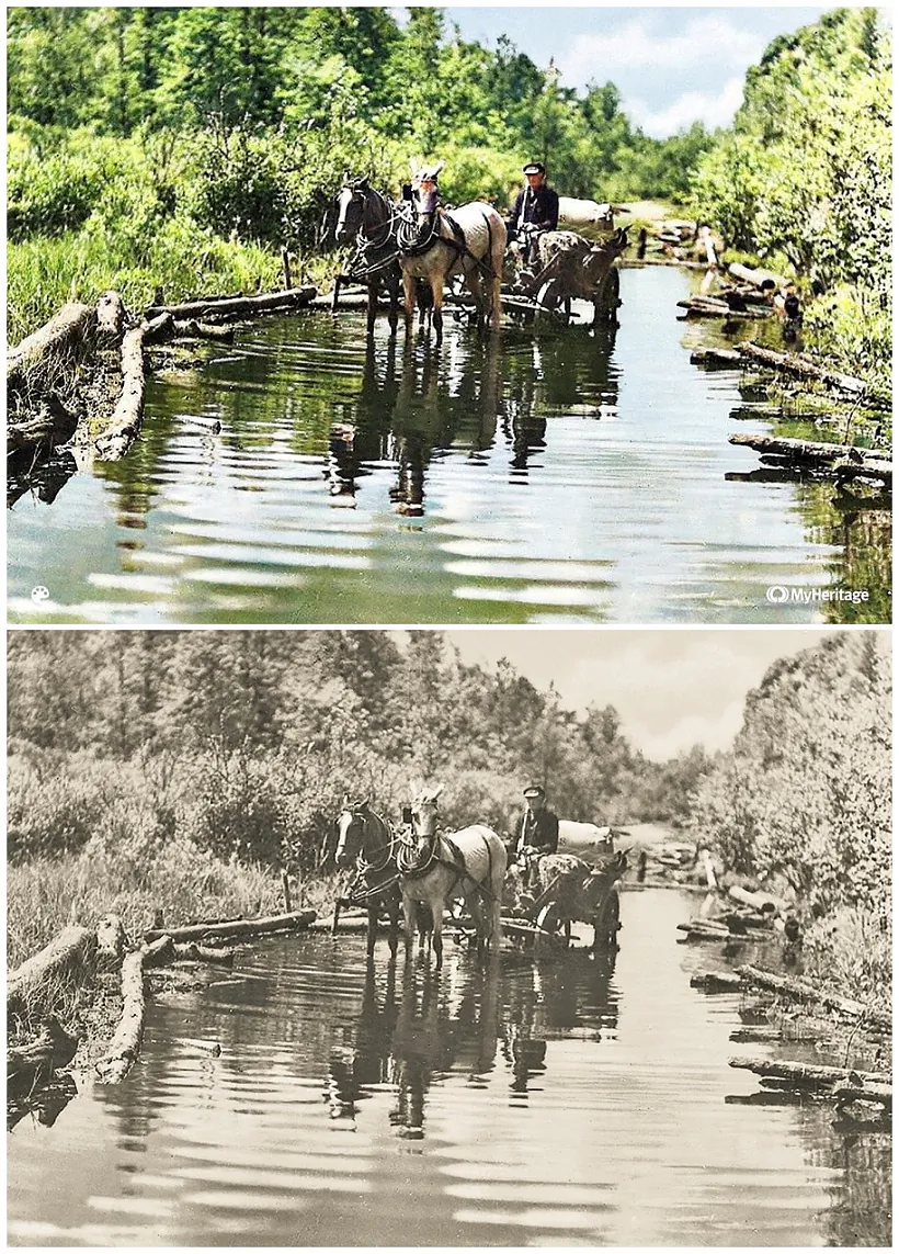 mal_8_Paraxonsk.jpg mal_8_Paraxonsk.jpg