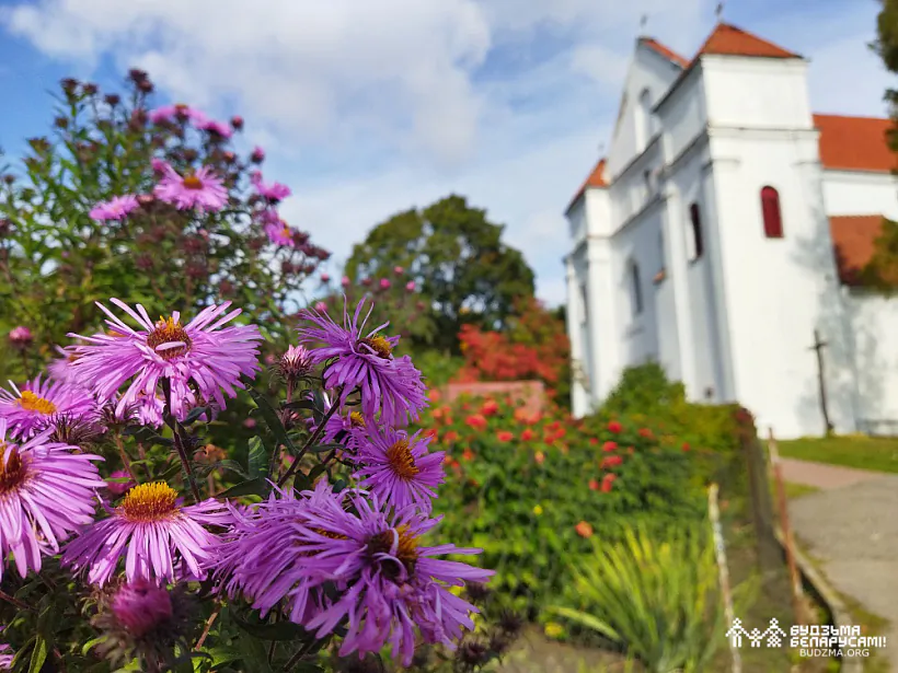 IMG_20220925_130218.jpg IMG_20220925_130218.jpg