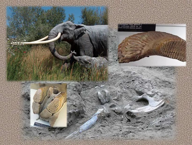 275721817_1167442747332553_1841621211405589420_n.png 275721817_1167442747332553_1841621211405589420_n.png