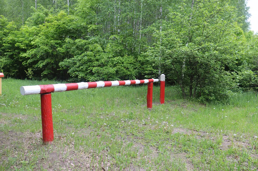 IMG_0201.jpg IMG_0201.jpg