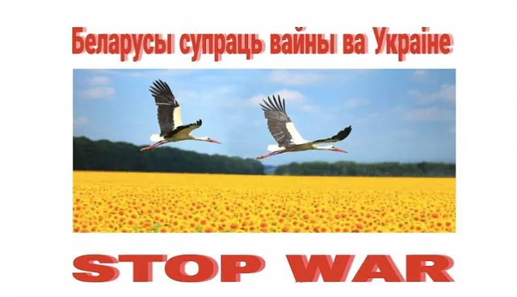 000.jpg 000.jpg