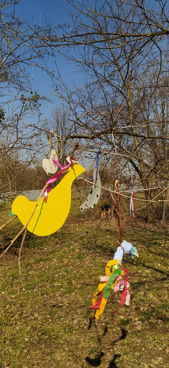 photo_2022-03-20_14-49-39.jpg photo_2022-03-20_14-49-39.jpg