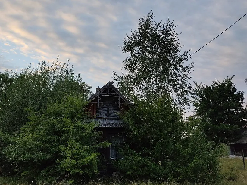 2022-08-29 Kozliki_A.Leshkevich_015.jpg 2022-08-29 Kozliki_A.Leshkevich_015.jpg