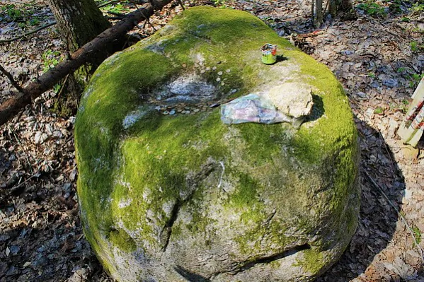 28.jpg