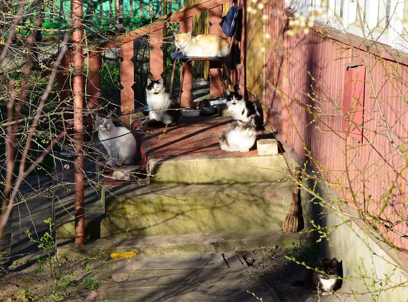 Katy ŭ Lidzie. 2020 h. Katy ŭ Lidzie. 2020 h.