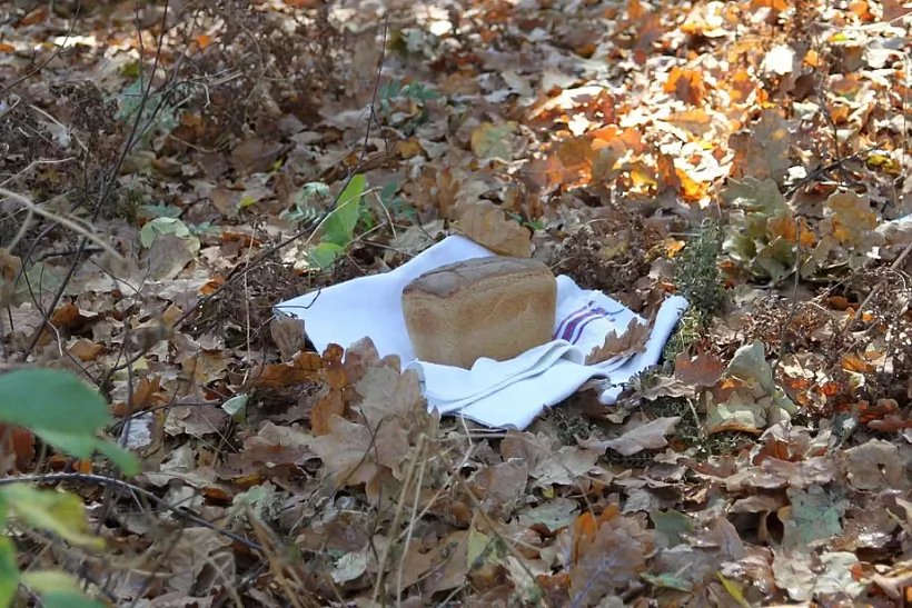 Tradycyjny «abrok» bortnika padčas pracy z pčolami, Lieĺčycki rajon