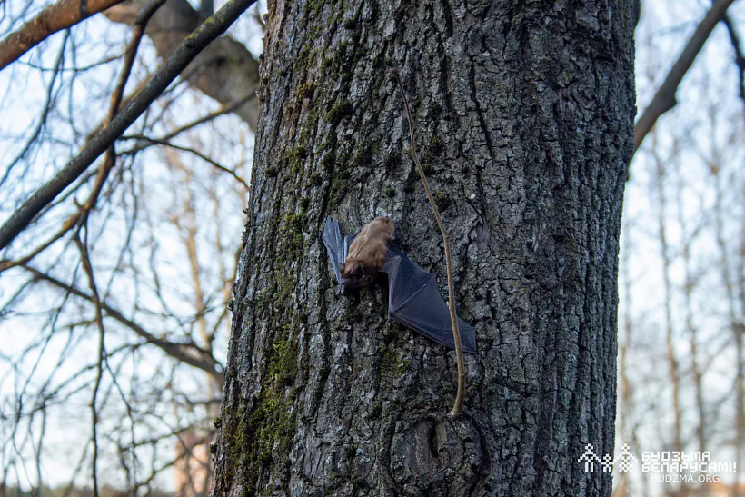 photo (94 of 98).jpg photo (94 of 98).jpg