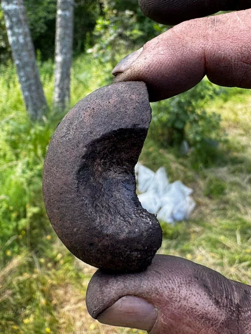 Archiealahičnyja raskopki