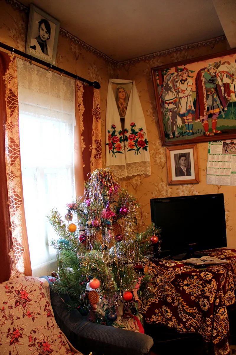 Ялінка ў інтэр’еры хаты ў в. Перасудавічы, Бярозаўскі р. 13 студзеня 2015 г. 