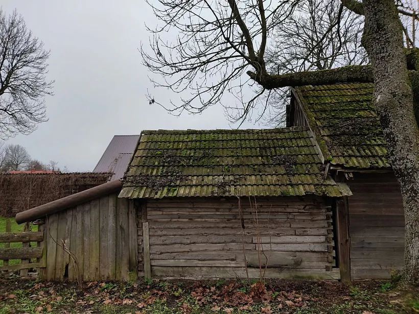 11_2022-11-14 Siemianowka_A.Leshkevich_037.jpg 11_2022-11-14 Siemianowka_A.Leshkevich_037.jpg