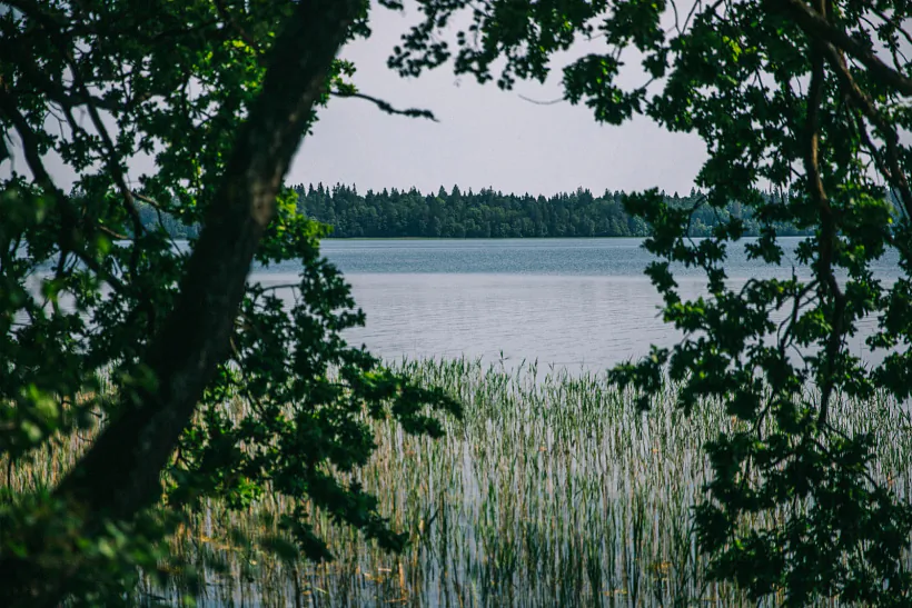 296A9519.jpg 296A9519.jpg