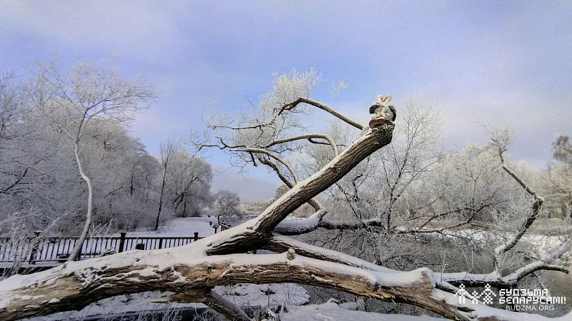 photo (11 of 16).jpg