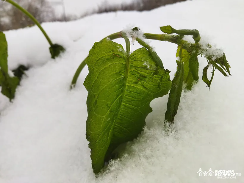 IMG_20221119_153908.jpg IMG_20221119_153908.jpg