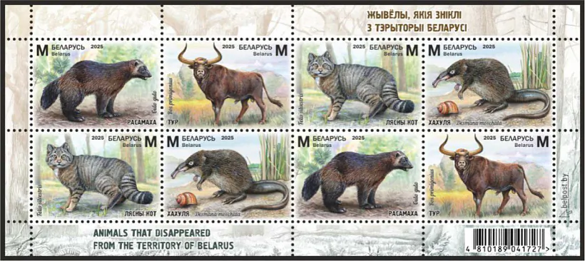 marki-04.jpg marki-04.jpg