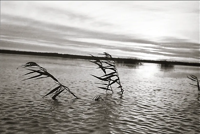 Solitude, voz. Choĺča, 1931 h. Solitude, voz. Choĺča, 1931 h.