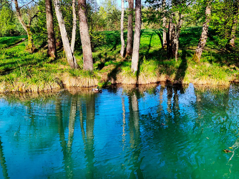 Sini Kalodziež Sini Kalodziež