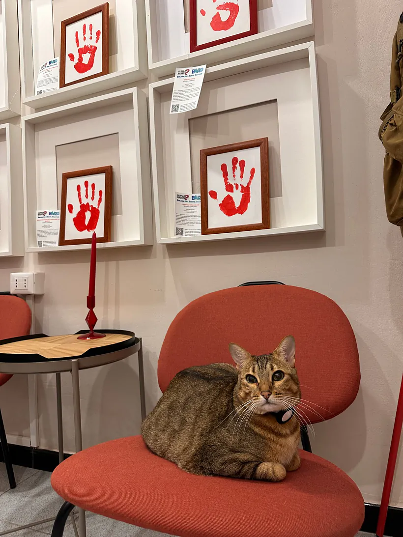 Centr demakratyčnaj supoĺnasci