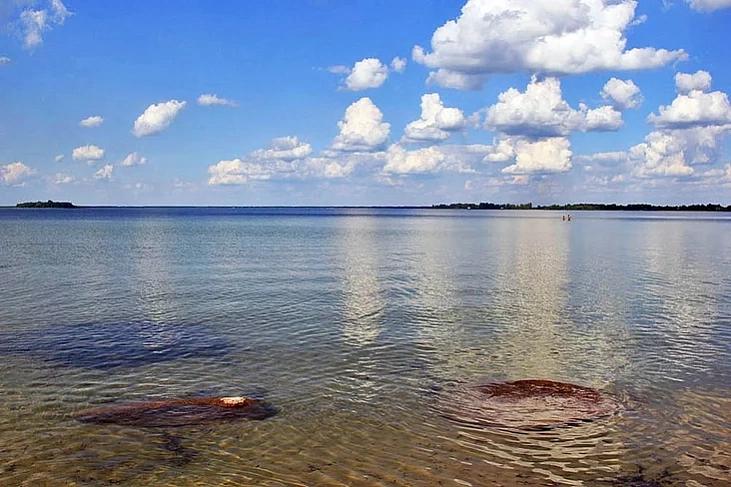 Kniaź-voziera, sionnia — Čyrvonaje