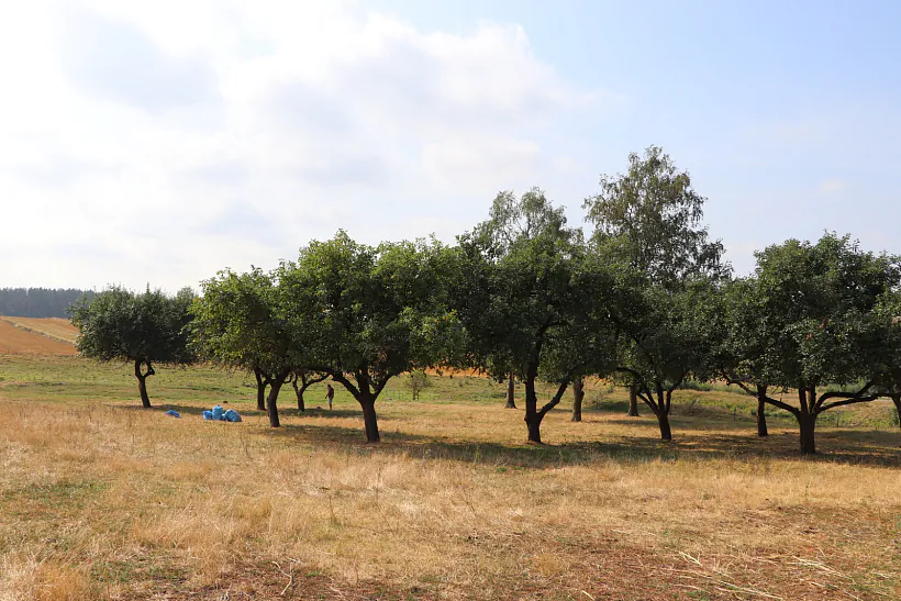 Ландшафты і людзі Сакольшчыны - Чорнай Русі (7).JPG