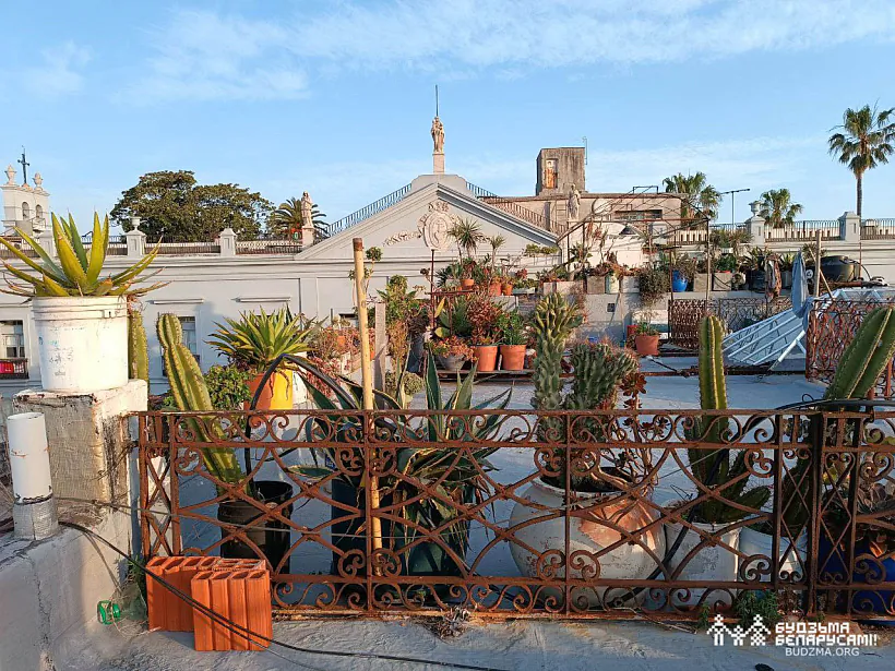 Мантэвідэа