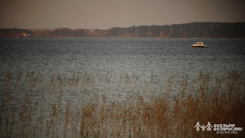 photo (8 of 15).jpg photo (8 of 15).jpg