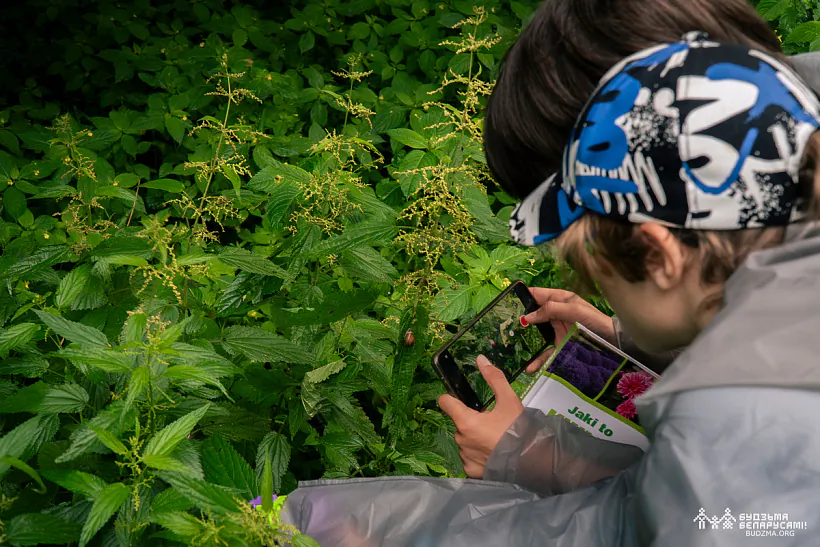 Dzieci dasliedujuć rasliny ŭ Bielaviežaskaj puščy