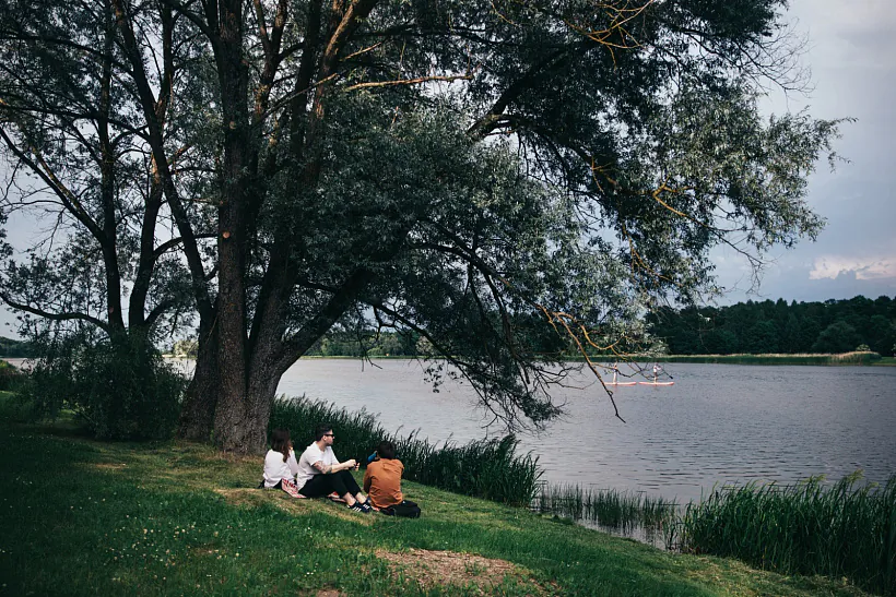 296A1465.jpg 296A1465.jpg