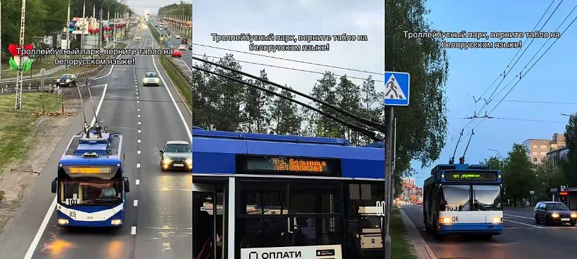 Skrynšot
