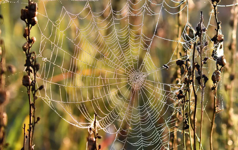 photo_2022-10-08_13-08-53 (2).jpg
