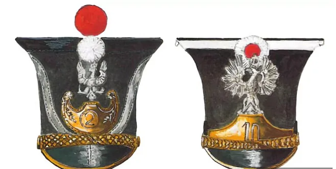 Kivier z nacyjanaĺnaj kukardaj