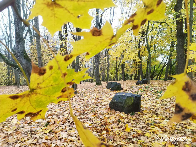 IMG_20221023_123535.jpg IMG_20221023_123535.jpg