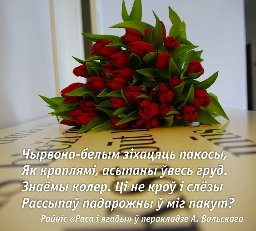 95.jpg