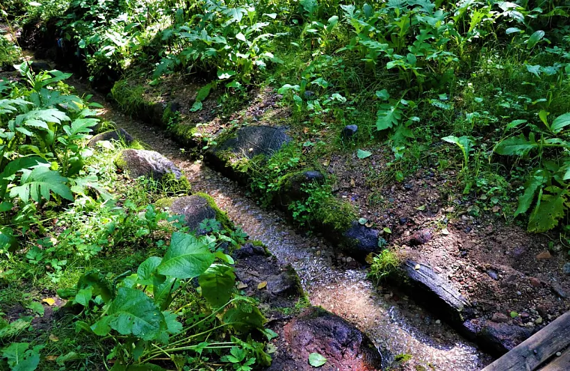 Krynicy z žyvoj i miortvaj vadoj Krynicy z žyvoj i miortvaj vadoj