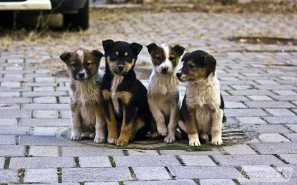 47c7908f410a4c7b8f3a344eff4058f1_XL.jpg 47c7908f410a4c7b8f3a344eff4058f1_XL.jpg