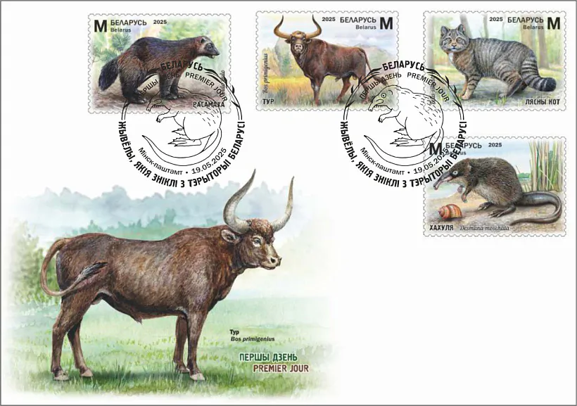 marki-01.jpg marki-01.jpg