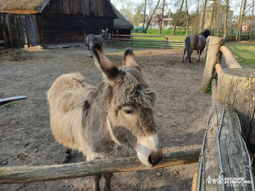 18_2023-04-19-21 skansen w Ciechanowcu_A.Leshkevich_0192.jpg
