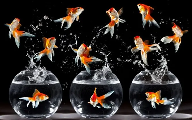 Mietodyka simaron Mietodyka simaron