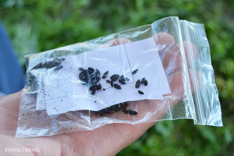 2707022_castle_restoration2022_blog_03-1024x682.jpg 2707022_castle_restoration2022_blog_03-1024x682.jpg