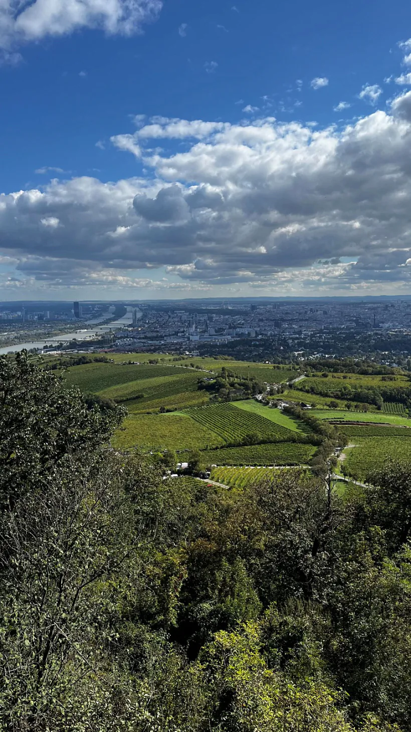 volski-tur-07.jpg volski-tur-07.jpg