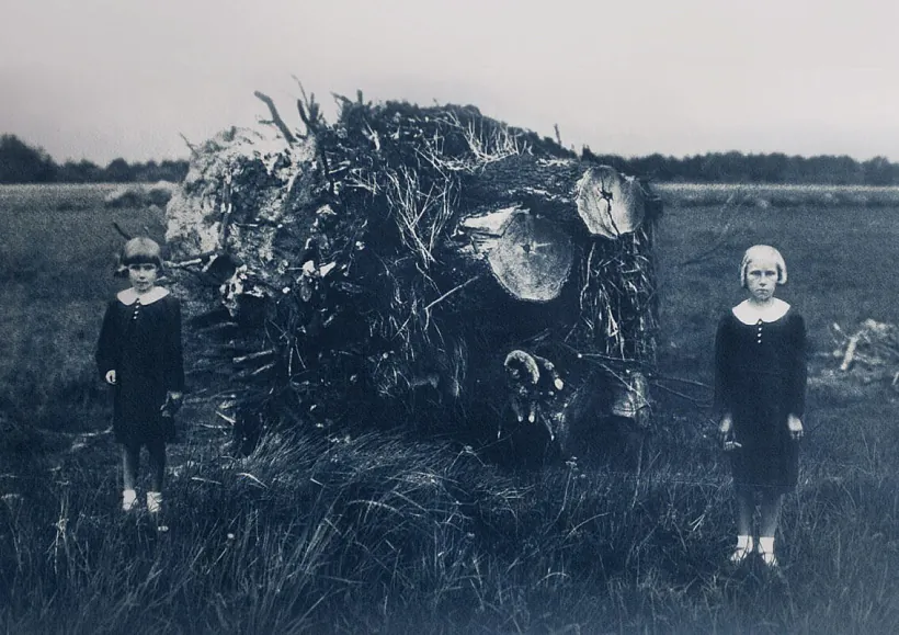 Prajekt «Maja raka» Prajekt «Maja raka»