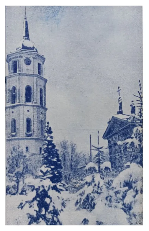 Bielaruskaja paštoŭka z vyjavaj zimovaj Viĺni