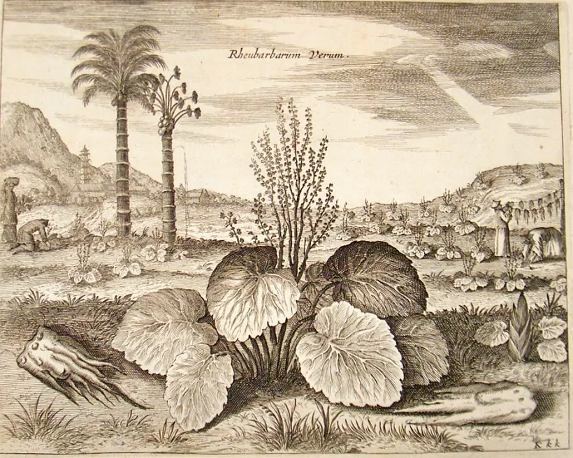 Vokladka anhlijskaj kulinarnaj knihi