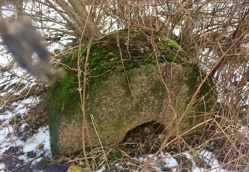 Kamiennyja žorny 