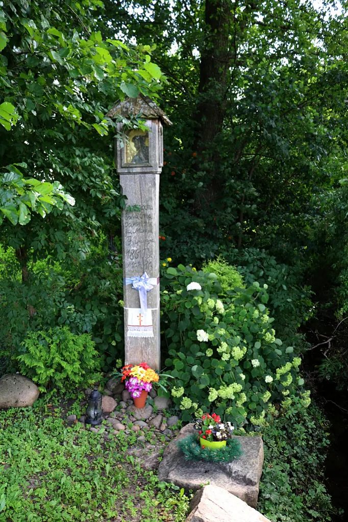 9_2022-08-13_01 Soce_0208.JPG