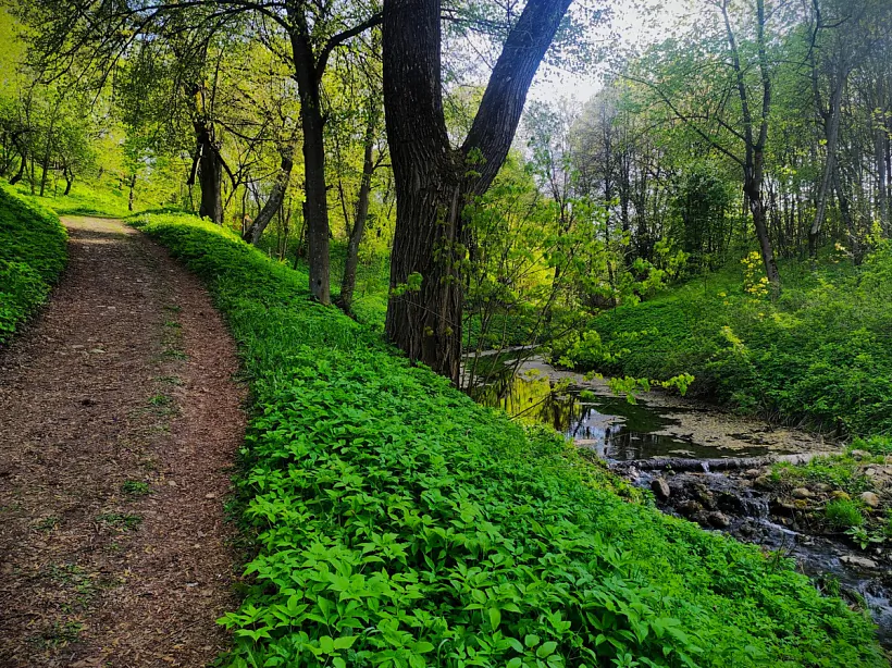 Mscislaŭ lia zamčyšča Mscislaŭ lia zamčyšča